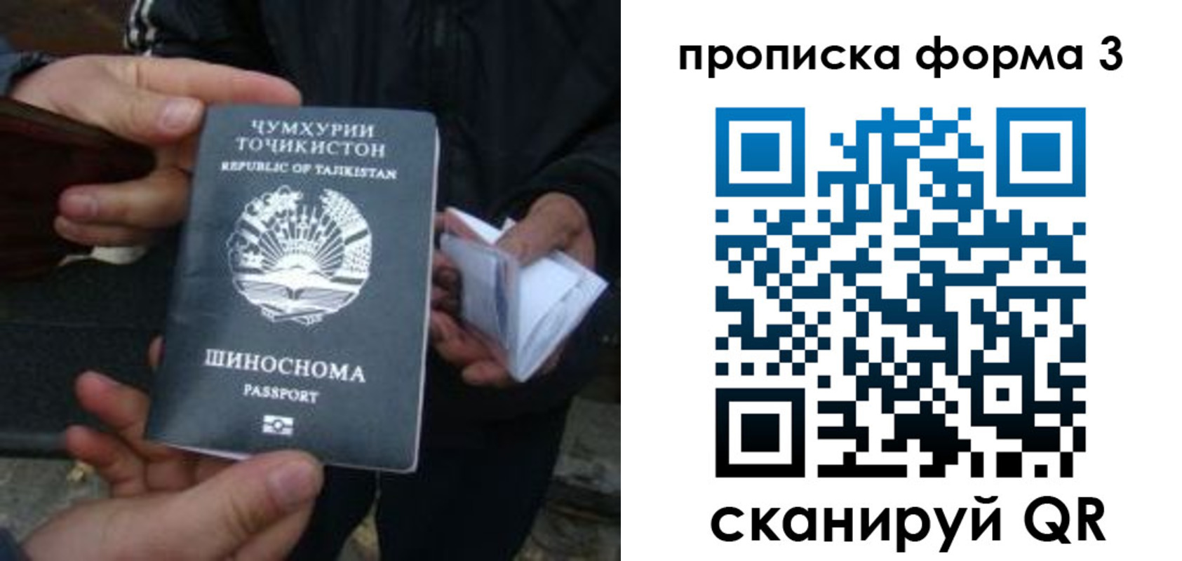прописка 2025 в Кимовске